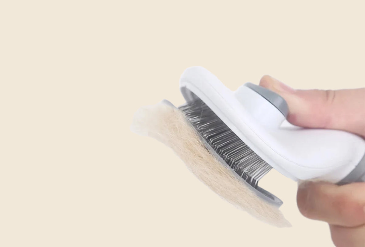 Pressing the button on the back of the brush, with brushed-out fur on the pins